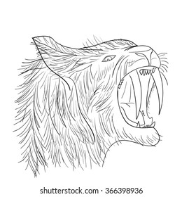 Sabre-tooth cat in vector