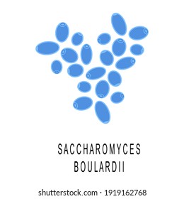 Saccharomyces boulardii colony. Probiotic, beneficial bacterias for human health and beauty. Good gut flora under microscop isolated on white background. Vector illustration.