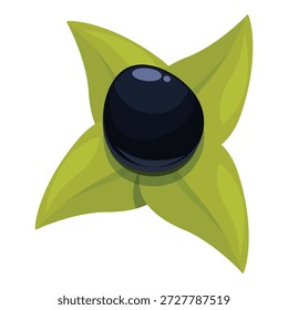 Sacha inchi fruit resting on vibrant green leaves, showcasing the exotic superfood