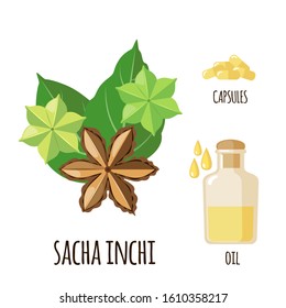 Sacha Inchi vector set in flat style isolated on white background. Superfood sacha inchi fruit. Organic healthy dietary supplement. Vector illustration.