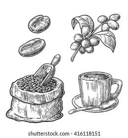 Sack with coffee beans with wooden scoop, cup, branch with leaf and berry. Hand drawn sketch style. Vintage vector engraving illustration for label, web.  Isolated on white background.