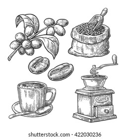 Sack with coffee beans with wooden scoop and mill, cup, branch with leaf and berry. Vintage drawn vector engraving illustration for shop. Isolated on white