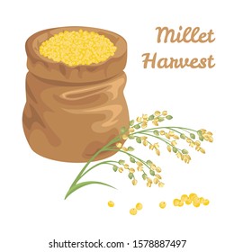 Sack full of proso millet grains isolated on white background. Vector illustration of cereal plant and heap of yellow seeds in cartoon simple flat style.