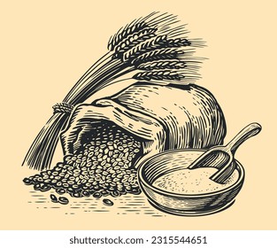 Sack of grain, ears of wheat, bowl of flour and scoop. Vintage sketch vector illustration for bakery or cooking