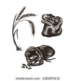 Sack with Grains or Ear Wheat Vector Illustrated Set. Hand Drawn Image for Bakery Shop