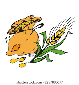Sack with grains of wheat, with a spikelet isolated on a white background