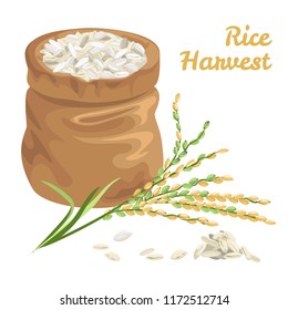 Sack of rice isolated on white. Vector illustration in flat style. Rice harvest concept.