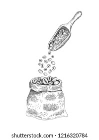 Sack with roasted coffee beans. Sketching style. Vector illustration.