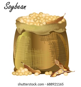 Sack of soybeans. Hand drawn realistic vector illustration of jute sack with soybeans and pods on white background.