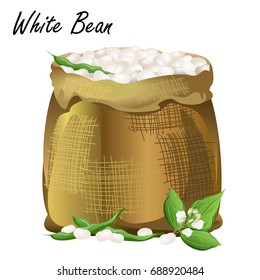 Sack of white beans. Hand drawn realistic vector illustration of jute sack with common white beans, pods and flowers on white background.