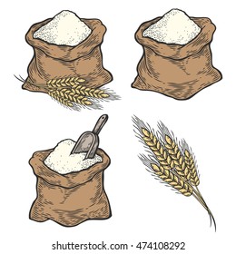 Sack with whole flour or sugar with ear wheat, scoop. Hand drawn sketch style. Vintage black vector engraving illustration set for label, web, flayer bakery shop. Isolated on white background.