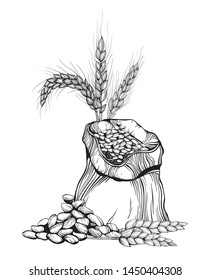 Sacks with flour and stalks of cereals.hand drawn wheat ears
Drawing of bunch of grain ears. Cereal illustration in vintage style.
wheat grain,granule, kernel,corn,rye,barley,oats,pic,buckwheat,grass