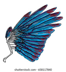 Sacred angel or bird wing. Symbolism of lightness, spirituality, heaven and imagination. Freedom and victory. Woodcut vintage style wing, hipster tattoo or vintage body art concept.