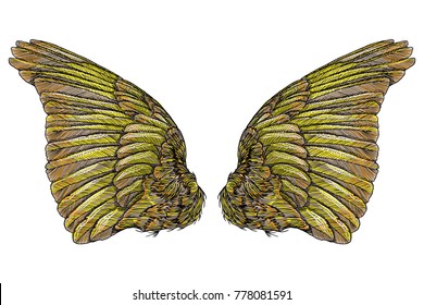 Sacred angel or bird wings. Symbolism of lightness, spirituality, heaven and imagination. Freedom and victory. Woodcut vintage style wings, hipster tattoo or vintage body art concept.