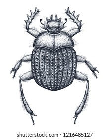 Sacred beetle of scarabs tattoo art. Dot work tattoo. Insect. Egyptian symbol of eternal life, resurrection, revival. Symbol of birth of new life. Black and white drawing