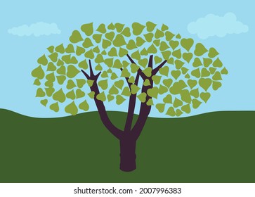 Árbol sagrado de bodhi con tronco y hojas verdes