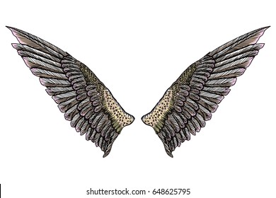 Sacred colourful bird wings of different shape in open position isolated on white background. Colorful angel wings hand drawing sketch. Hipster tattoo or vintage body art concept. Vector.