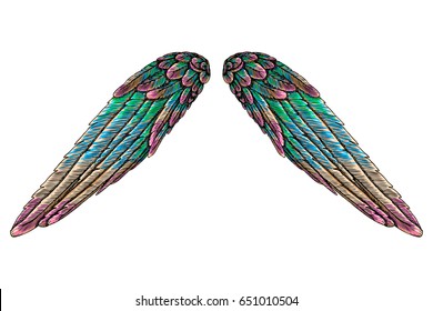 Sacred colourful bird wings of different shape in open position isolated on white background. Colorful angel wings hand drawing sketch. Hipster tattoo or vintage body art concept. Vector.