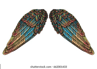 Sacred colourful bird wings of different shape in open position isolated on white background. Colorful angel wings hand drawing sketch. Hipster tattoo or vintage body art concept. Vector.
