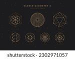 sacred divine geometry 2, set or collection of spiritual meditation symbols, seed of life, piscis eye trinity, sri yantra, torus yantra, 7 days of creation, vector equilibrium, icosahedron