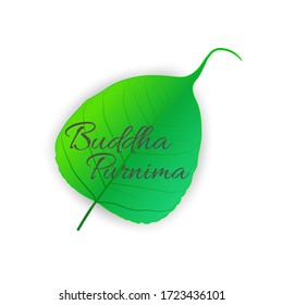 Sacred fig or Pipal tree leaf Buddha Purnima or Vesak day vector illustration