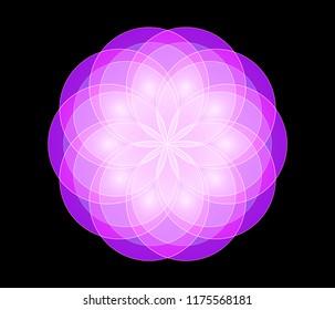 Sacred geometry, abstract flower background. Vector digital graphic design