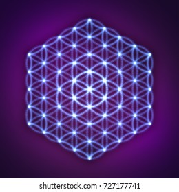Sacred geometry, abstract glowing background. Vector Digital graphic for brochure, website, flyer, print, poster, other design