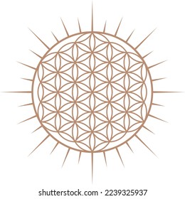 Sacred Geometry elegant logo. Editable vector.