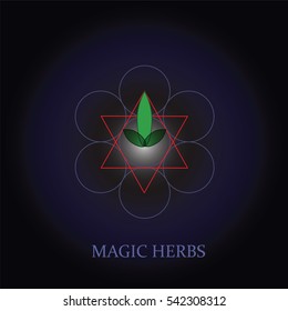 Sacred Geometry Emblem with Herbs. Vector illustration. Geometric Logo Design. Alchemy Symbol, Occult and Mystic Sign.