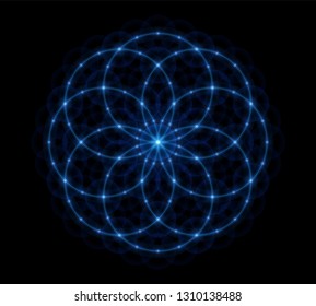 Sacred geometry, flower of life.