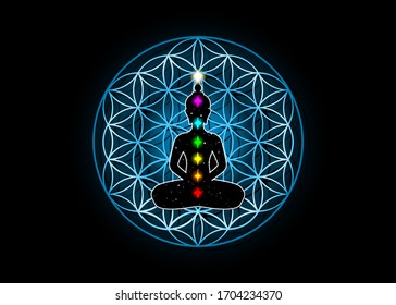 Sacred Geometry, flower of life and Buddha in a lotus position with colorful 7 chakras. Metatrons cube. Symbol of alchemy, religion and spirituality. Vector isolated on black background 