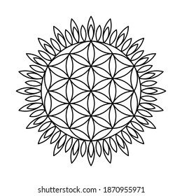 Sacred geometry flower of life circle vector mandala coloring book