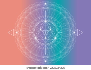 Sacred Geometry Flower Life Lotus Flower Stock Vector (Royalty Free ...