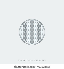 sacred geometry. flower of life. mandala ornament. esoteric or spiritual symbol. geometric line art shape. isolated on white background. vector illustration