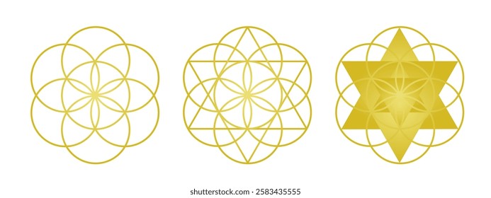 Sacred geometry. Flower of life, merkaba set. Symbols of life and harmony. Banner, brochure, poster. Vector illustration