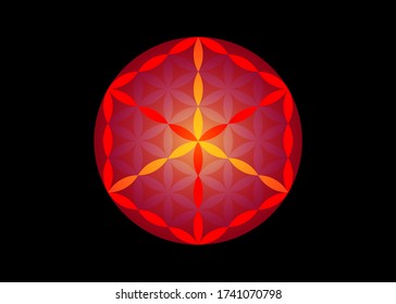 Sacred Geometry, flower of life and Metatrons cube. Symbol of alchemy, religion and spirituality. Vector isolated on black background 