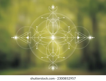 Sacred geometry, Flower of life, Mystical drawing of circles, triangles, moon, scheme of energy. Glowing symbols of alchemy, magic, esoteric, occultism. Vector isolated on green nature background