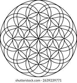 Sacred geometry flower of life outline vector illustration
