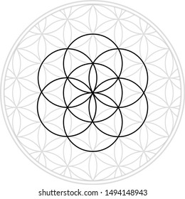 Sacred geometry is the flower of life, the sixth day of creation from Genesis