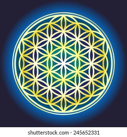 Sacred geometry, Flower of life symbol variations