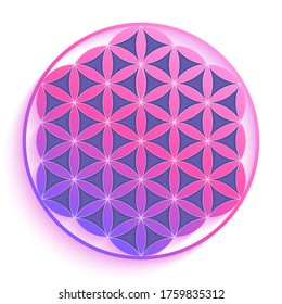 Sacred Geometry Flower Life Vector Illustration Stock Vector (Royalty ...