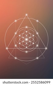 Sacred geometry flower of life vector illustration. Esoteric Energy Elements in Futuristic Design related to Tarot, Alchemy and Astrology