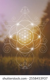 Sacred geometry flower of life vector illustration. Esoteric Energy Elements in Futuristic Design related to Tarot, Alchemy and Astrology. Golden ratio and Fibonacci row inspired design.