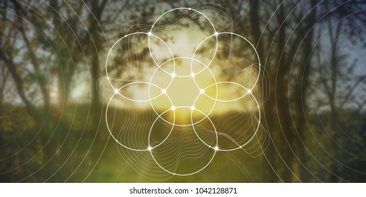 Sacred geometry flower of life website banner with golden ratio numbers, interlocking circles and triangles, flows of energy and particles in front of outer space background. The formula of nature.