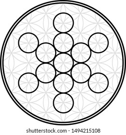 Sacred geometry is the fruit of life, seven circles in the flower of life