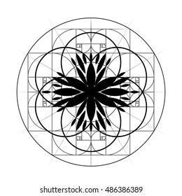 Sacred Geometry. Golden Section. Circular geometric ornament. Vector 10 eps. 