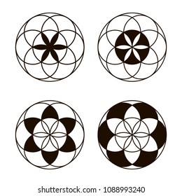 Sacred geometry - the grain of life