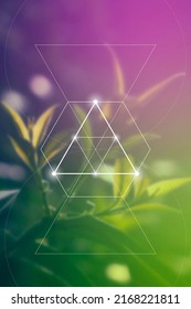 
Sacred geometry inspired vector illustration with interlocking circles and triangles.