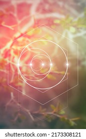Sacred geometry inspired vector illustration with interlocking circles and triangles.