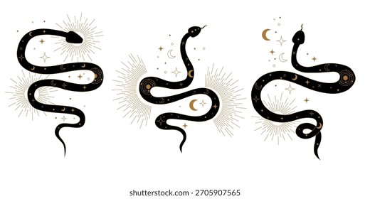 Sacred geometry inspired vector snakes representing Kundalini energy life force and spiritual power. Mystical abstract symbols of awakening enlightenment and inner peace balance.
